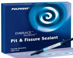 Embrace WetBond Pit & Fissure Sealant, 1.2 ml, Natural Shade, 20/Pk, EMSB thumbnail 12