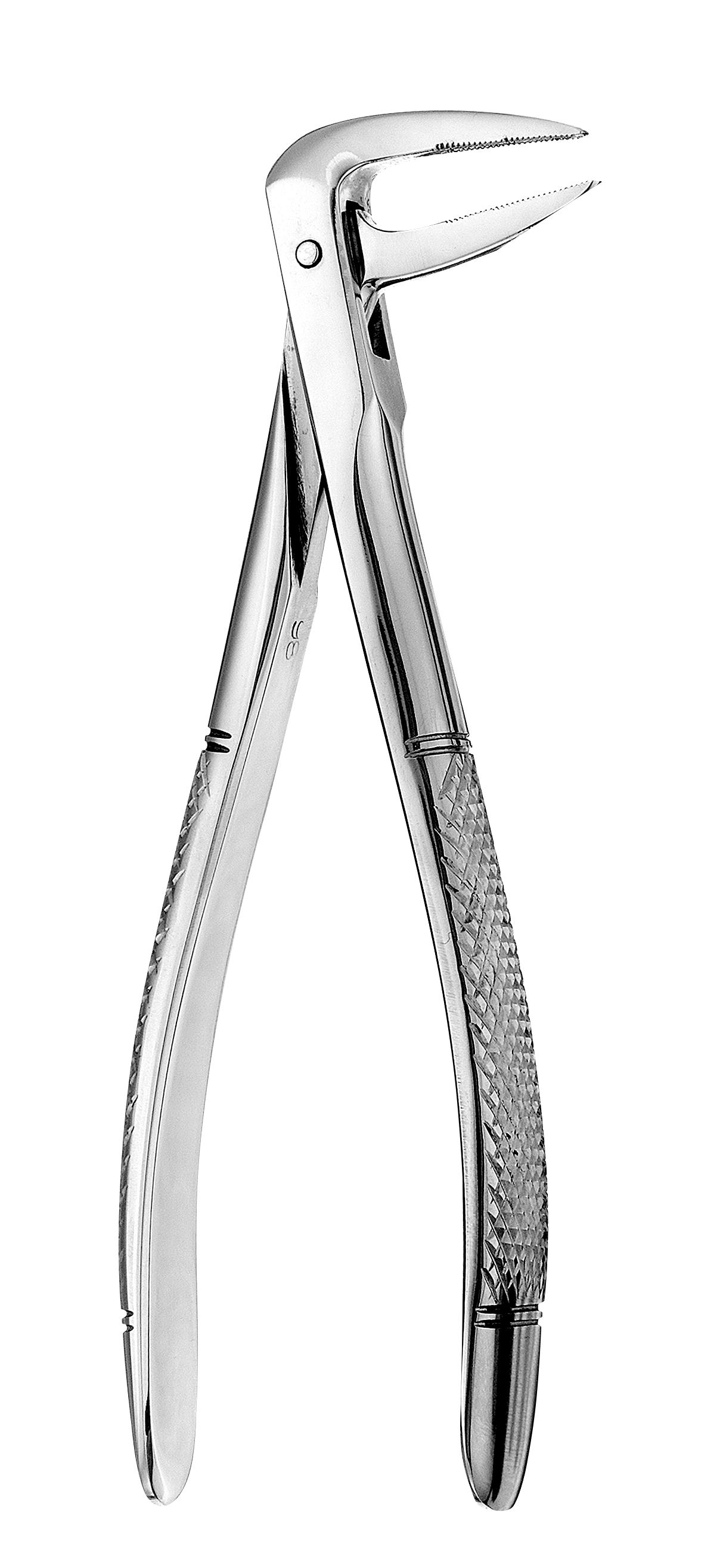 233 European Root Forceps, Serrated, FX233 thumbnail 6