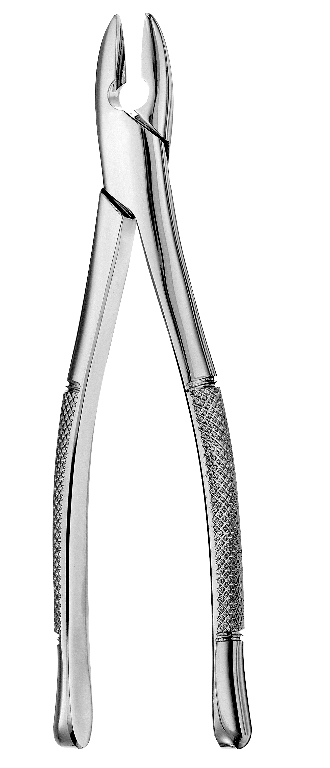 Extraction Forceps, Standard, # 1, 1/Pk, F1 thumbnail 10