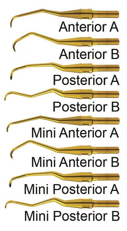 Quik-Tip Double Gracey Curette, XP, Anterior A XP Quik-Tip, 1/Pk, AEDGAAXPQT thumbnail 7