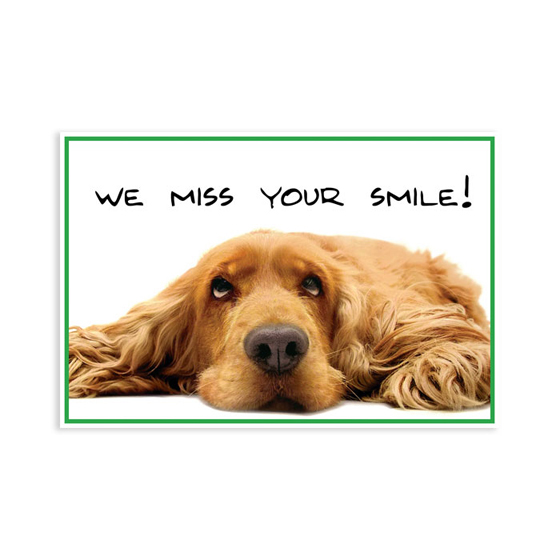 Laser 4-Up Recall Cards Dog We Miss Smile 8.5 in x 11 in 200/Pk product image