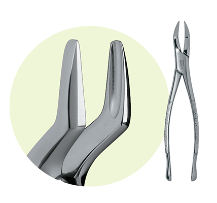 #69 Maxillary Extracting Forceps thumbnail 4