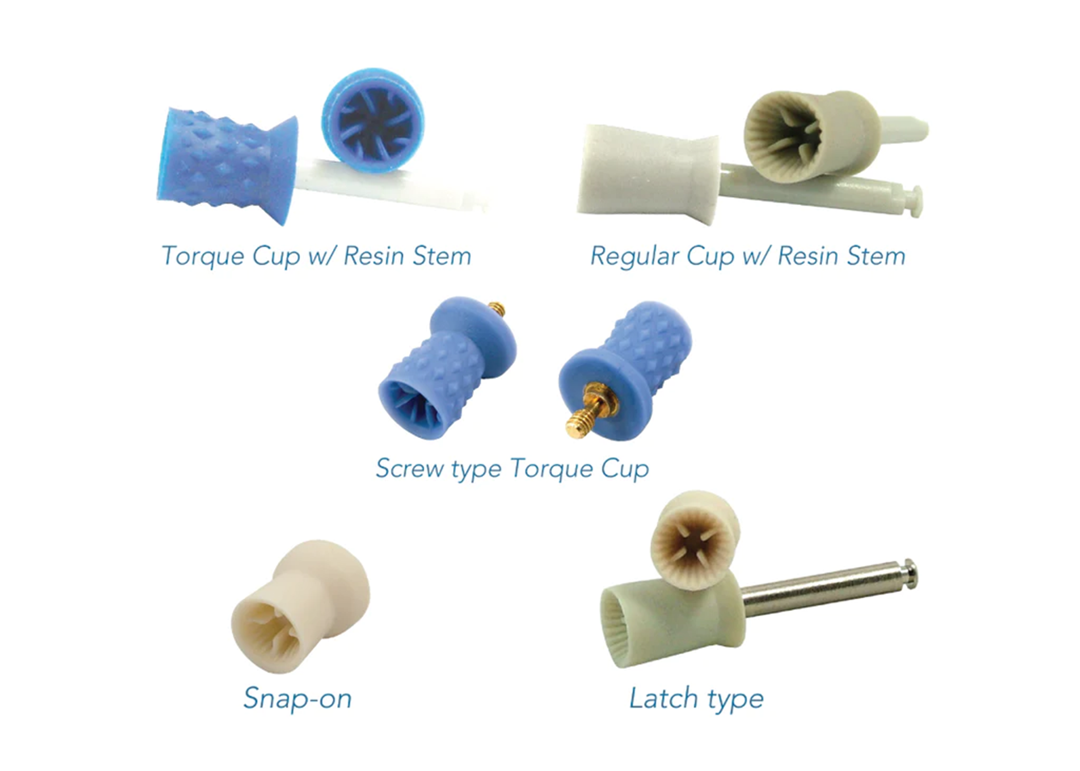 Disposable Prophy Cups, Screw Type Torque Cups, Blue, 144/Pk, 251W thumbnail 4