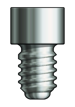Reflect Rapid Multi-Unit Prosthetic Screw thumbnail 2