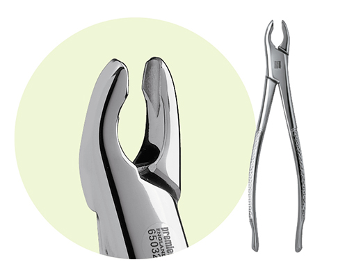 Extracting Forceps Size 150A Adult Ea thumbnail 6