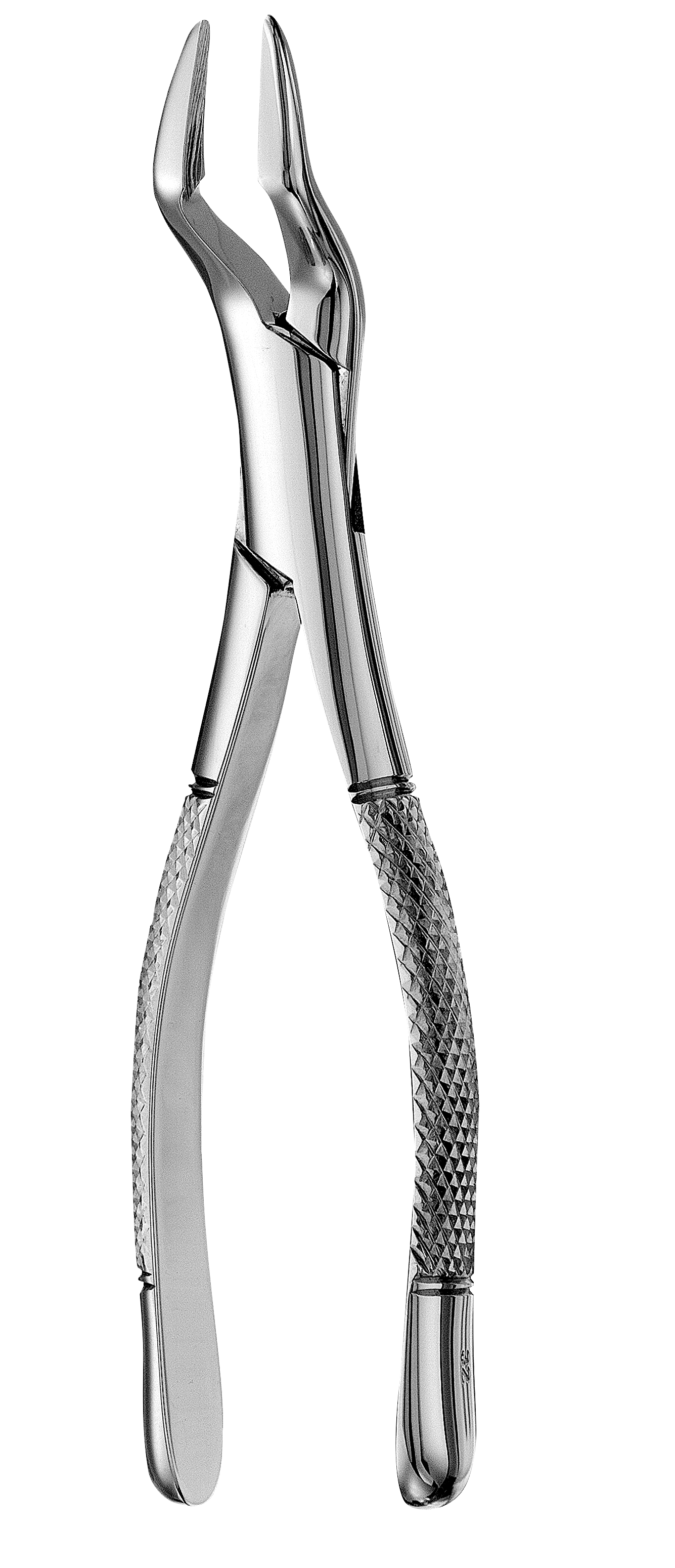 Extracting Forceps Size 32 Parmly Upr Canins Premosl & Mols Univ Ea thumbnail 6