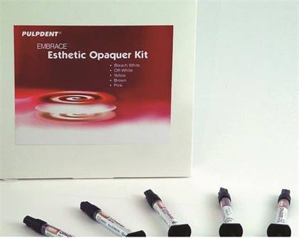 Embrace Esthetic Resin Opaquers, Light-Cure, Syringe Refill, 2.1 g, Bleach White, 1/Pk, EMO1 thumbnail 11