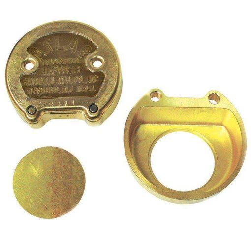 Flask Denture Lower image