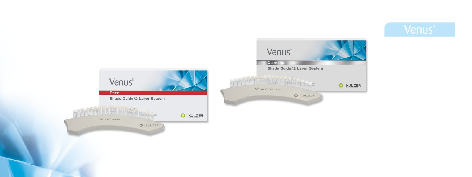 Venus Diamond Shade Guide thumbnail 2