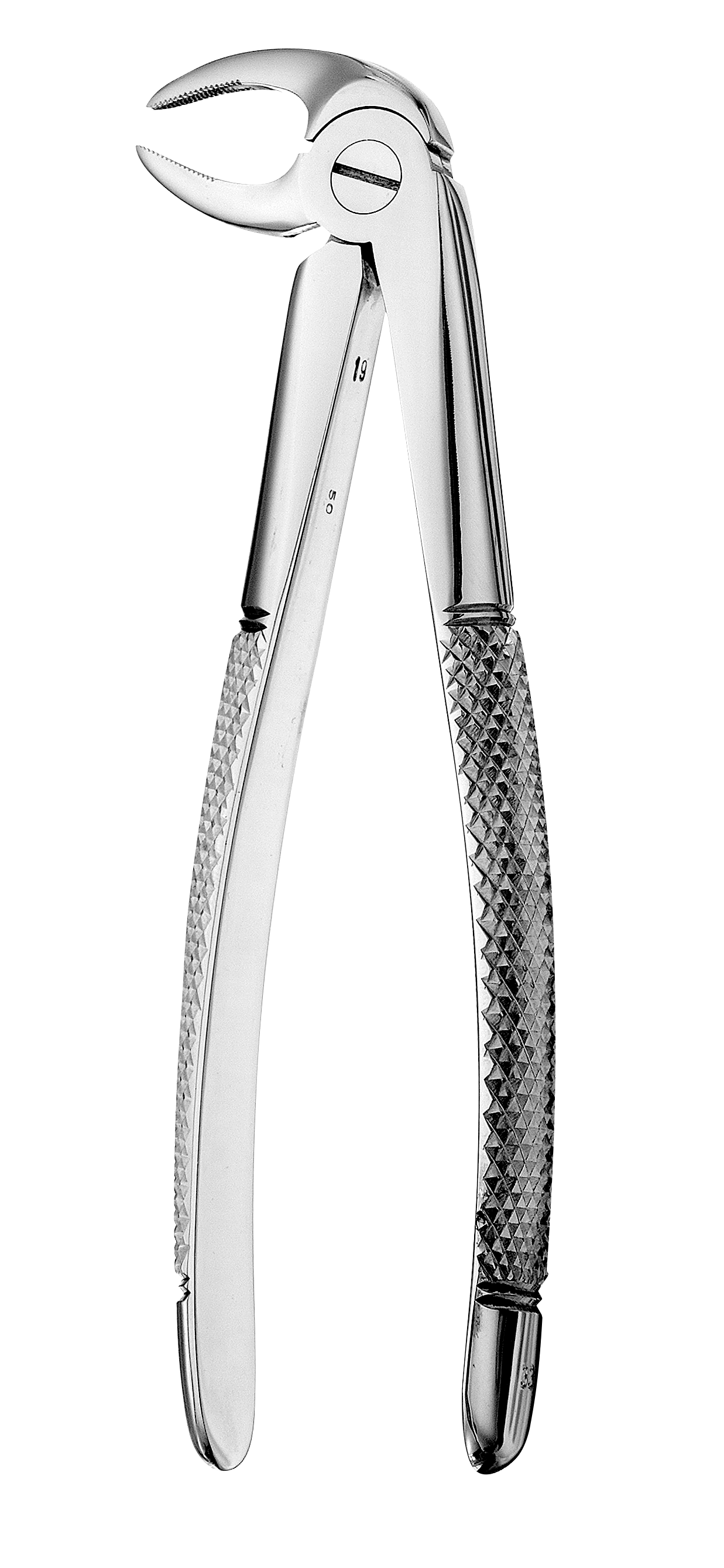 Forceps European Style 33 Serrated thumbnail 8