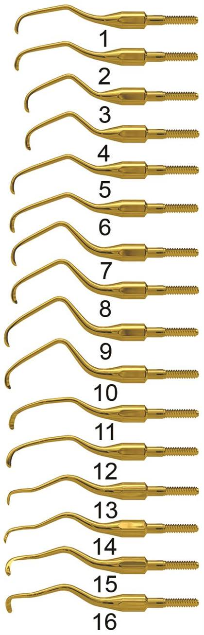 #15 Posterior Mesial Talon Tough Quik Tip Gracey thumbnail 2