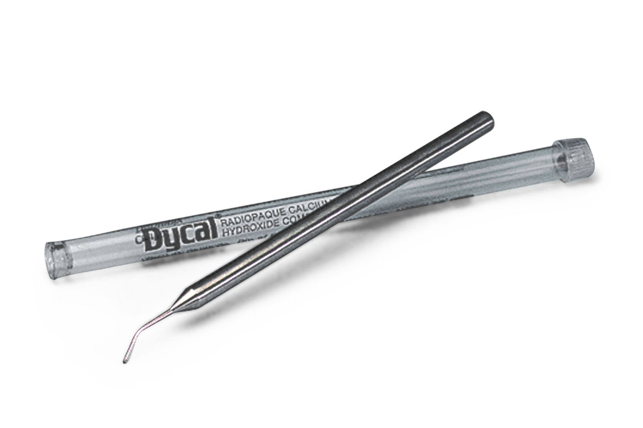 Dycal Calcium Hydroxide Cavity Liner Placement Instrument, 1/Pk thumbnail 13