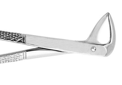 74N Lower Root Forceps Economy thumbnail 2