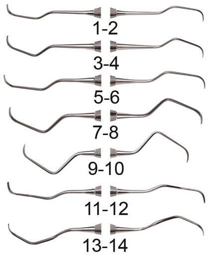 Gracey 5/6 Curette - Gracey 5/6 Curette - Image 1