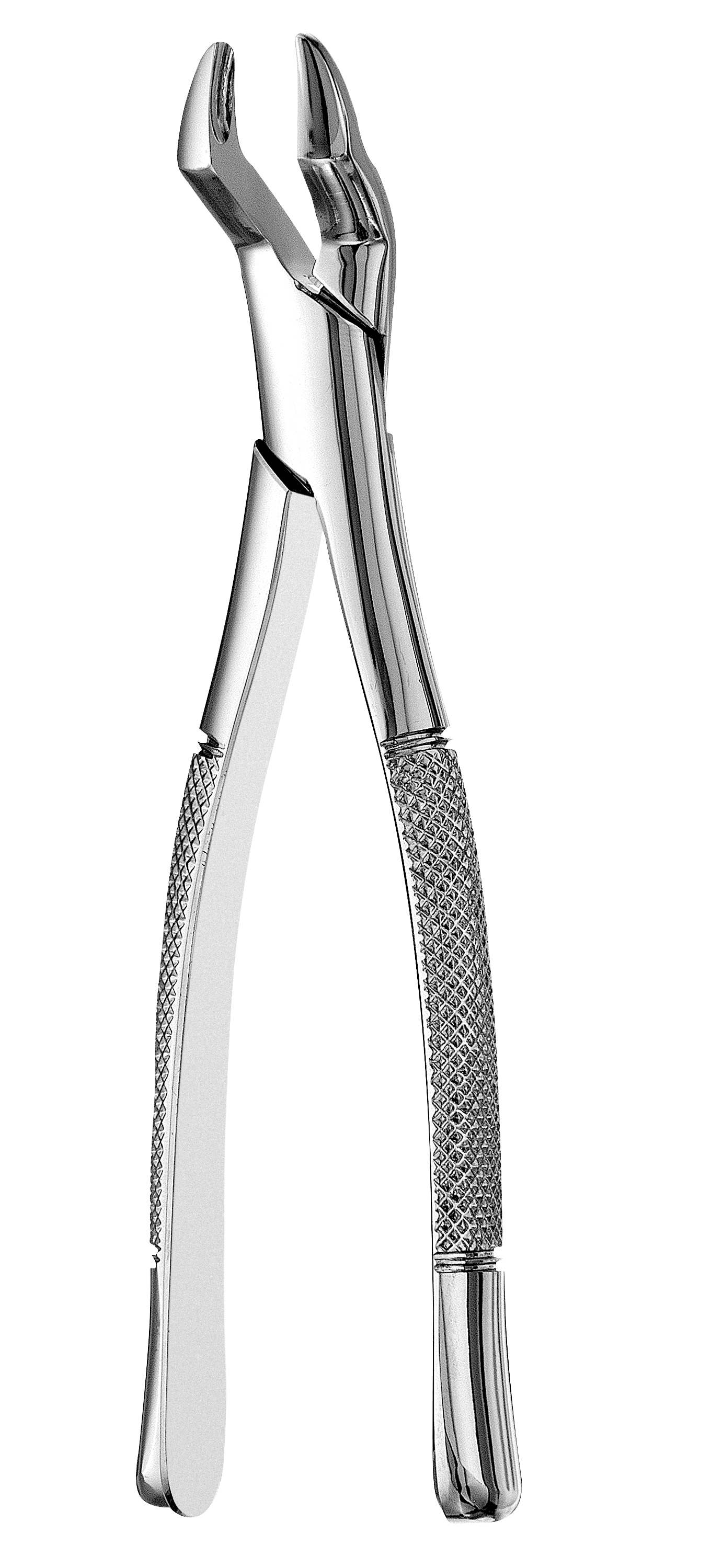 Extraction Forceps, Upper Molars, # 10S, 1/Pk, F10S thumbnail 10