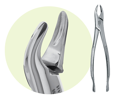 Extracting Forceps Size 150 Adult Ea product image