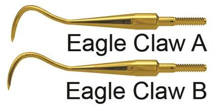 Quik-Tip Sickle Scaler, XP, Eagle Claw A, Cone Socket, Stainless Steel, 1/Pk, AESECAXPQT thumbnail 13