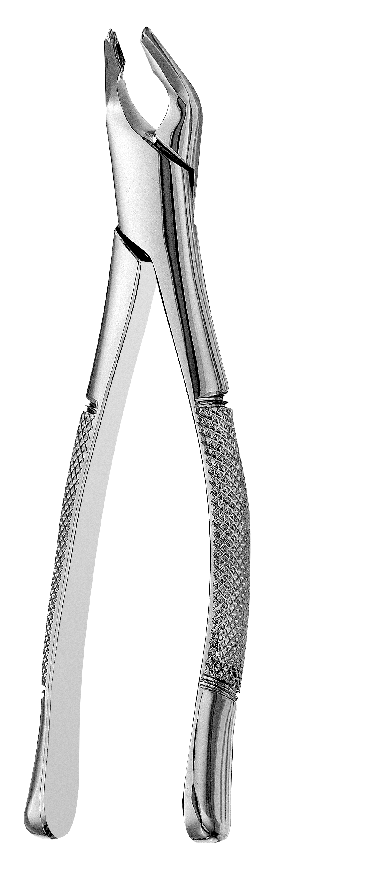 Extracting Forceps Apical Lower Universal Ea thumbnail 13