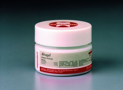 -ALVOGYL DRY SOCKET PASTE 11G JAR product image