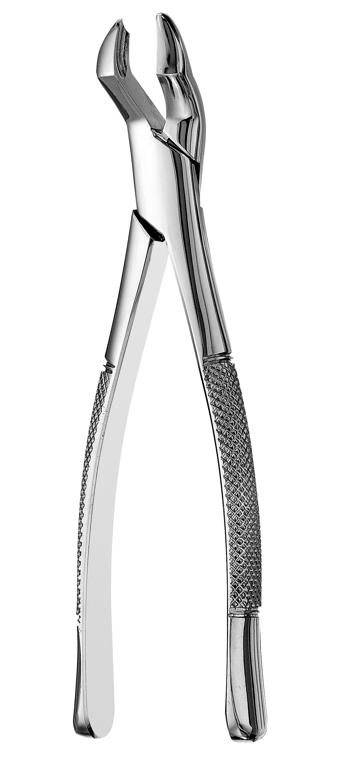 53L Forceps, F53L thumbnail 10