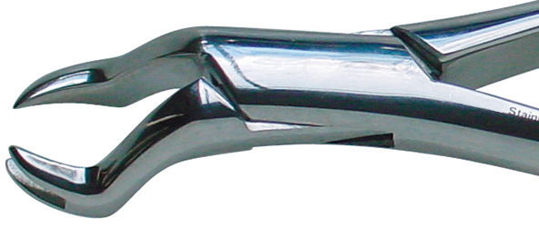 88L Nevius Forceps Economy product image