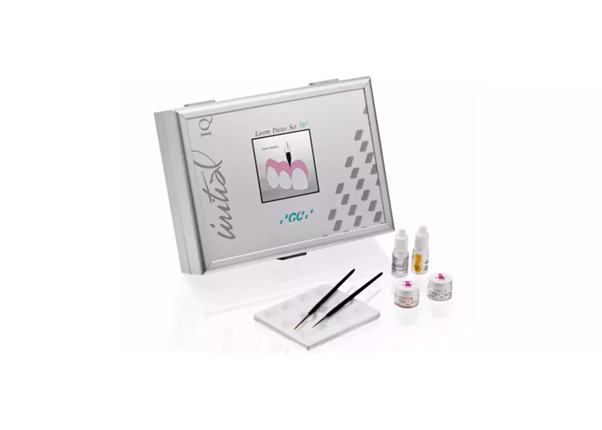 Initial IQ Lustre Pastes NF Gum Shade Set thumbnail 2