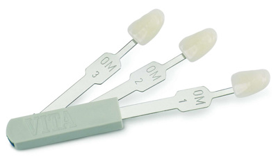 VITA Linear Guide Replacement Shade Tabs - Shade 2L2.5 product image