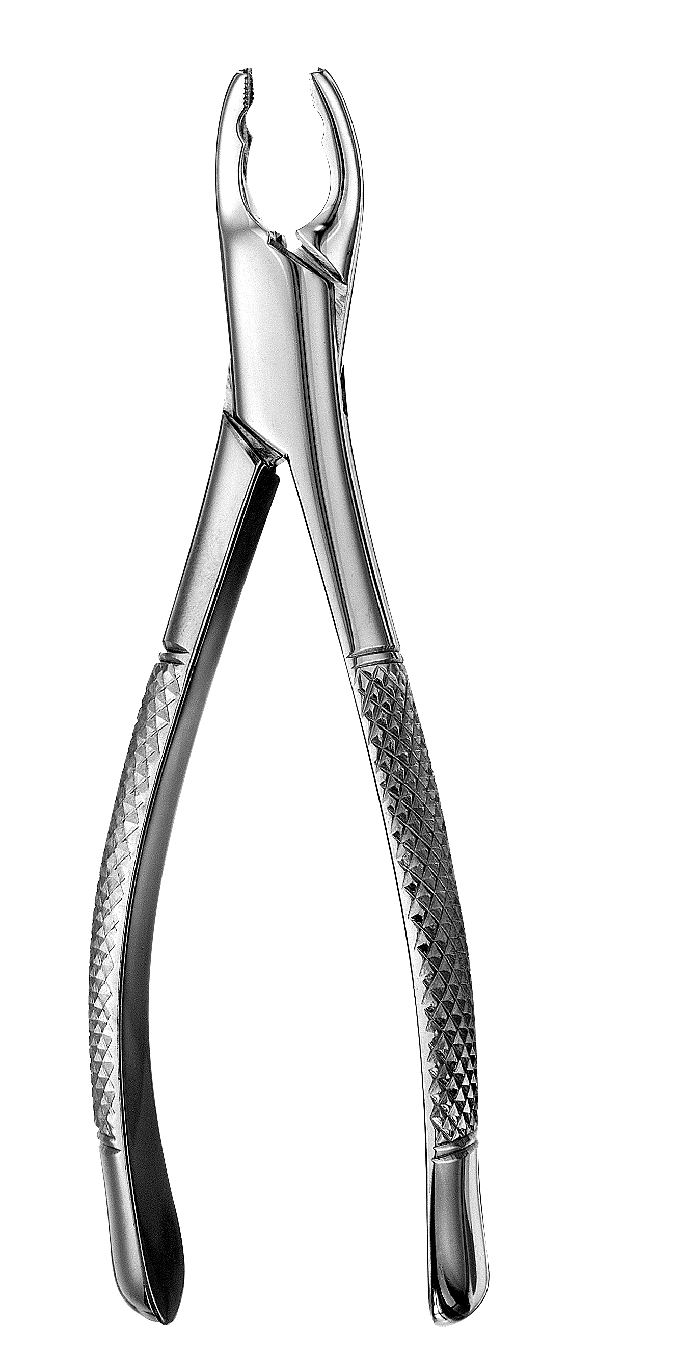 Extraction Forceps, Standard Pedo Series, Serrated Split Beaks, Universal, # 150XAS, 1/Pk, F150XAS thumbnail 11