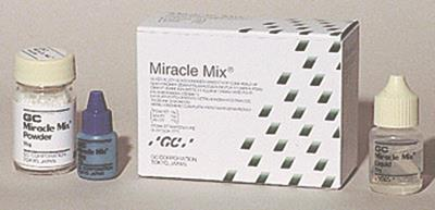 Miracle Mix Alloy-Reinforced Glass Ionomer, Tubes and Plugs Refill, 100/Pk thumbnail 6