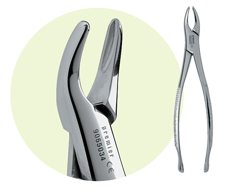 Extracting Forceps Size 150S Adult Ea thumbnail 7