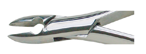 1 Upper Incisor Forceps Economy product image