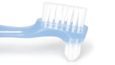 Premium Denture Brush (12) product image