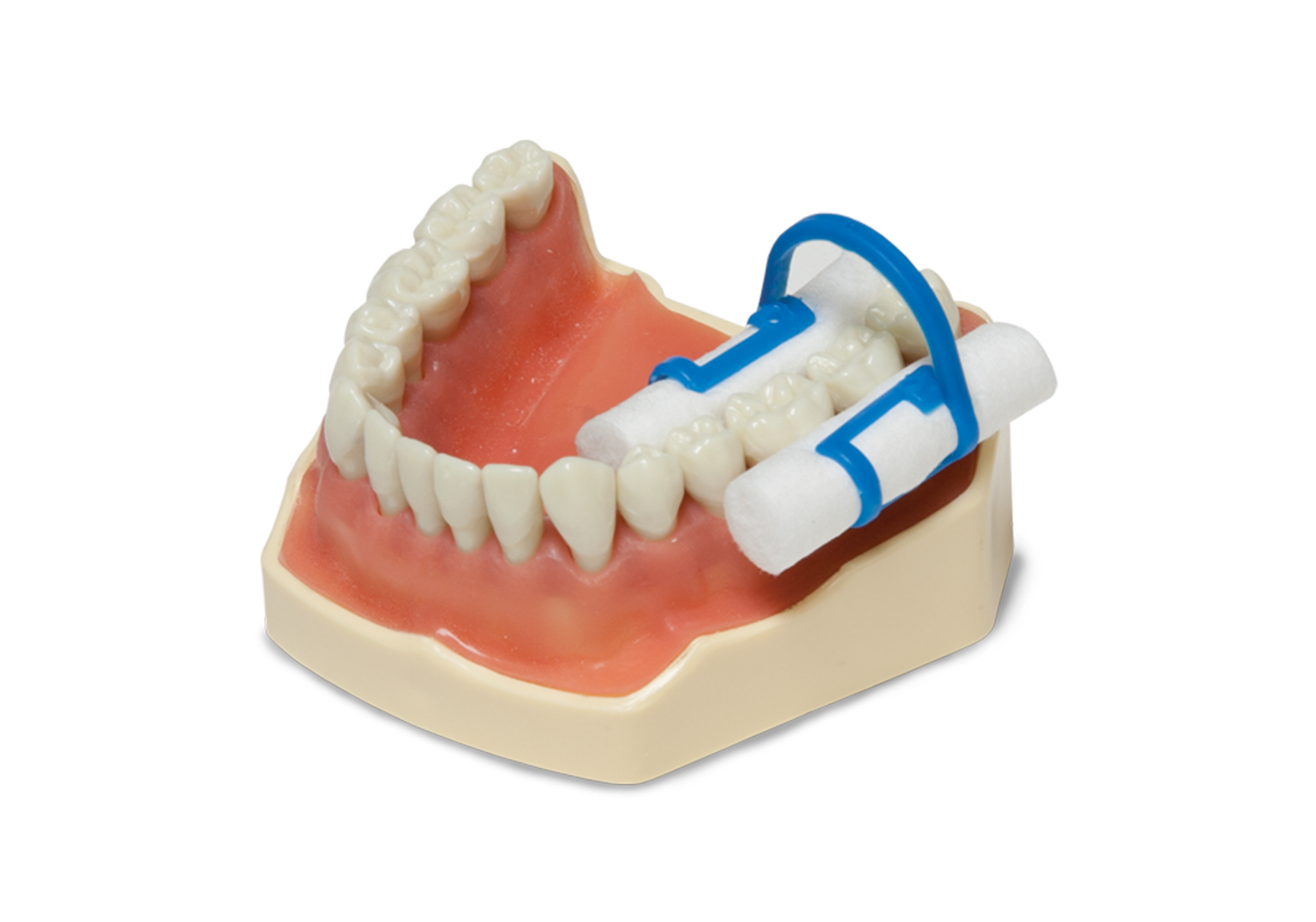 Quick Clips Cotton Roll Holder 100/Pk thumbnail 4