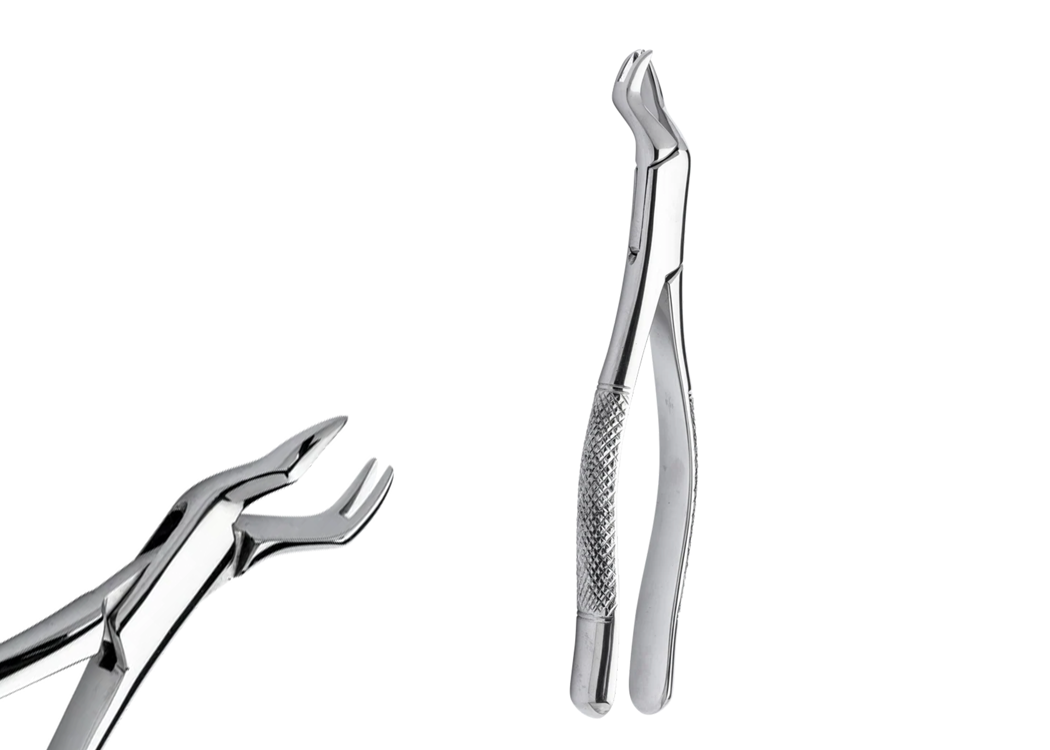 Forceps Ea thumbnail 5