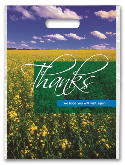 Full Color Bags Thanks Wildflower 9 in x 13 in 250/Pk product image