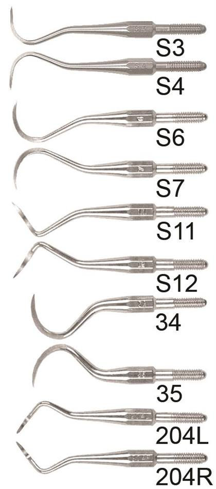 -S12S SICKLE SS CS TIP image