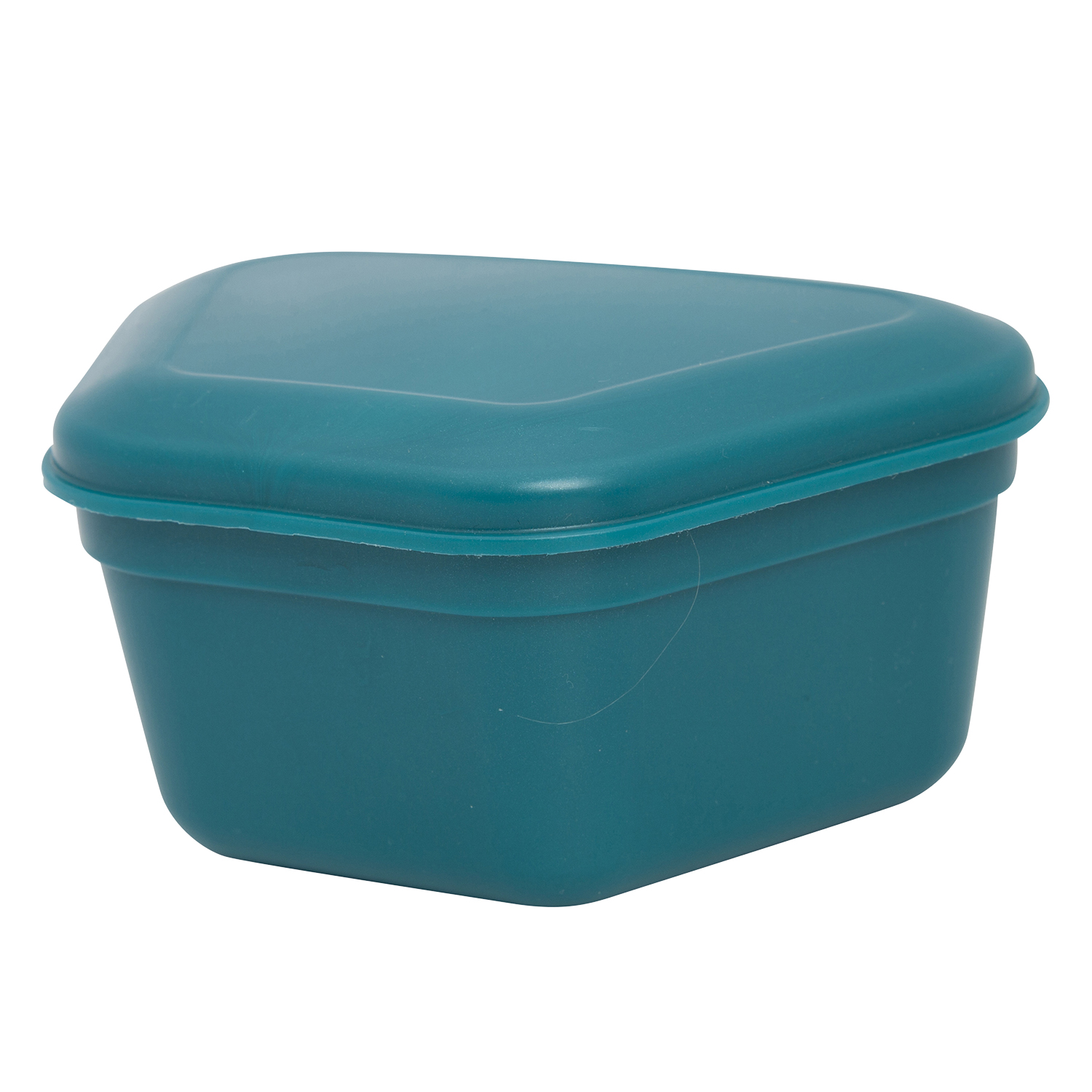 Denture Box, Teal, 12/Pk, 30R800J thumbnail 5