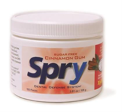 Spry Gum Cinnamon Jar of 100 - Spry Gum Cinnamon Jar of 100 - Image 1