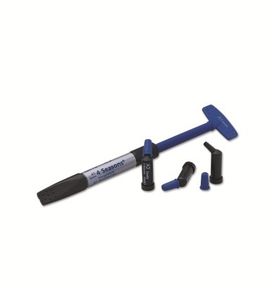 -C4 ENAMEL 4 SEASONS SYRINGE-3GM product image