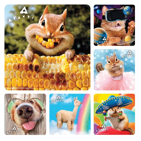 Stickers Avanti Animal Assorted 100/Rl thumbnail 2