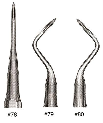 Miltex - 79 Root Tip Elev. thumbnail 8