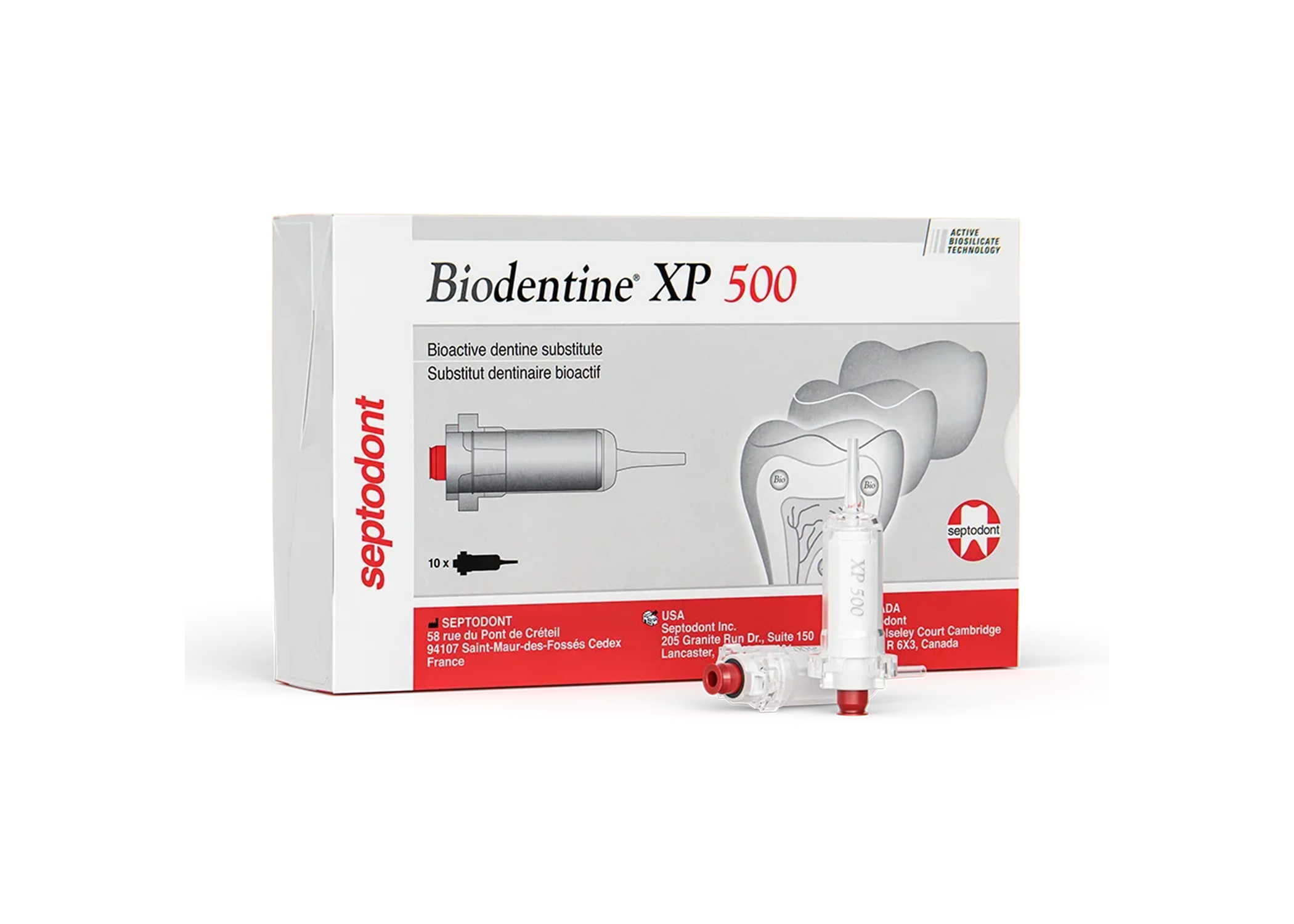 Biodentine XP 500 Cartridges (10) product image