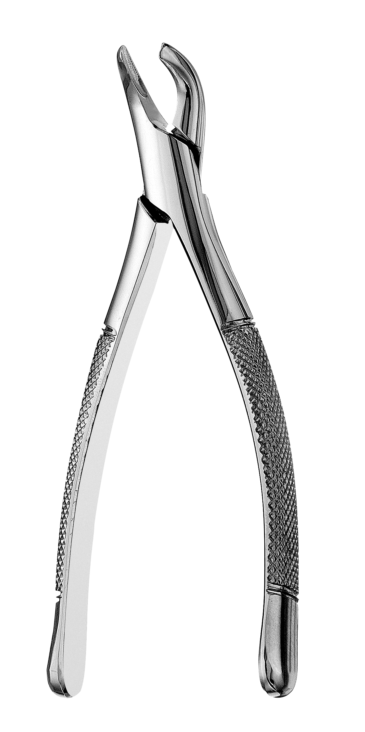 Presidential Extraction Forceps, Pedodontic Series, # 151S, 1/Pk, F151S thumbnail 14