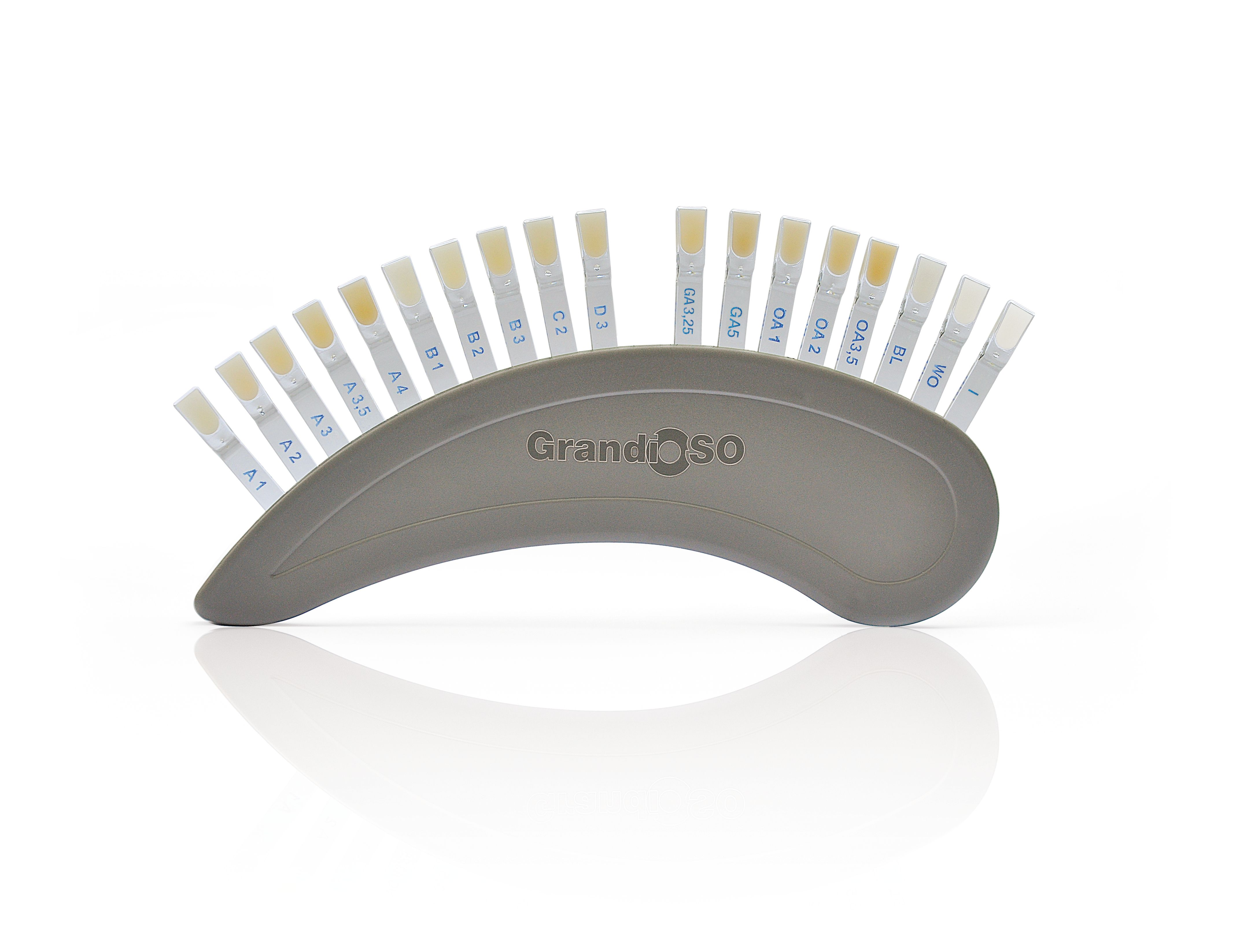 GrandioSO Shade Guide thumbnail 3