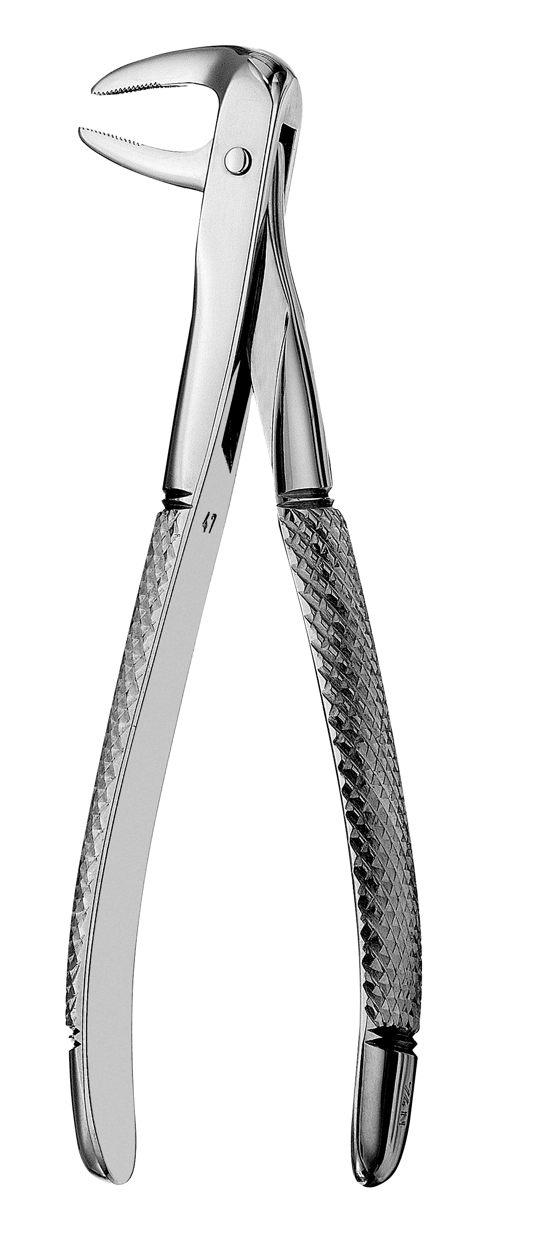 Hu-Friedy - Forceps #74N Europ., IM Roots narrow thumbnail 13