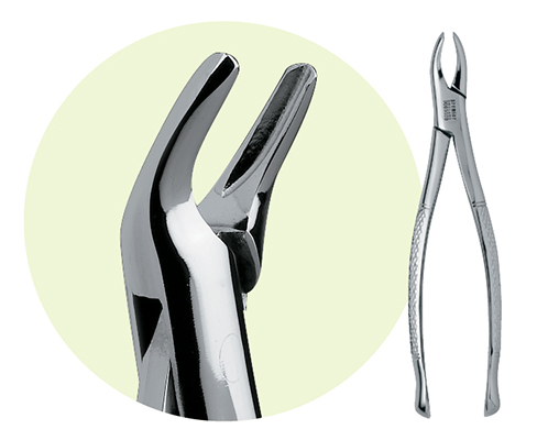 Extracting Forceps Size 101 Adult Ea product image