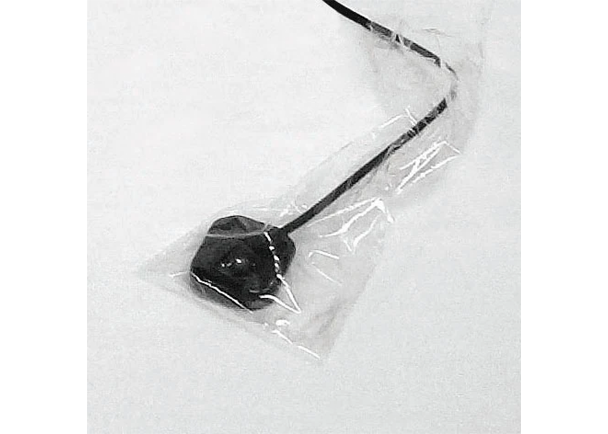 Digital X-Ray Sensor Protector, Universal Fit, # 0/# 1, 1 3/8" x 8", Clear, 500/Pk, 1970 thumbnail 11