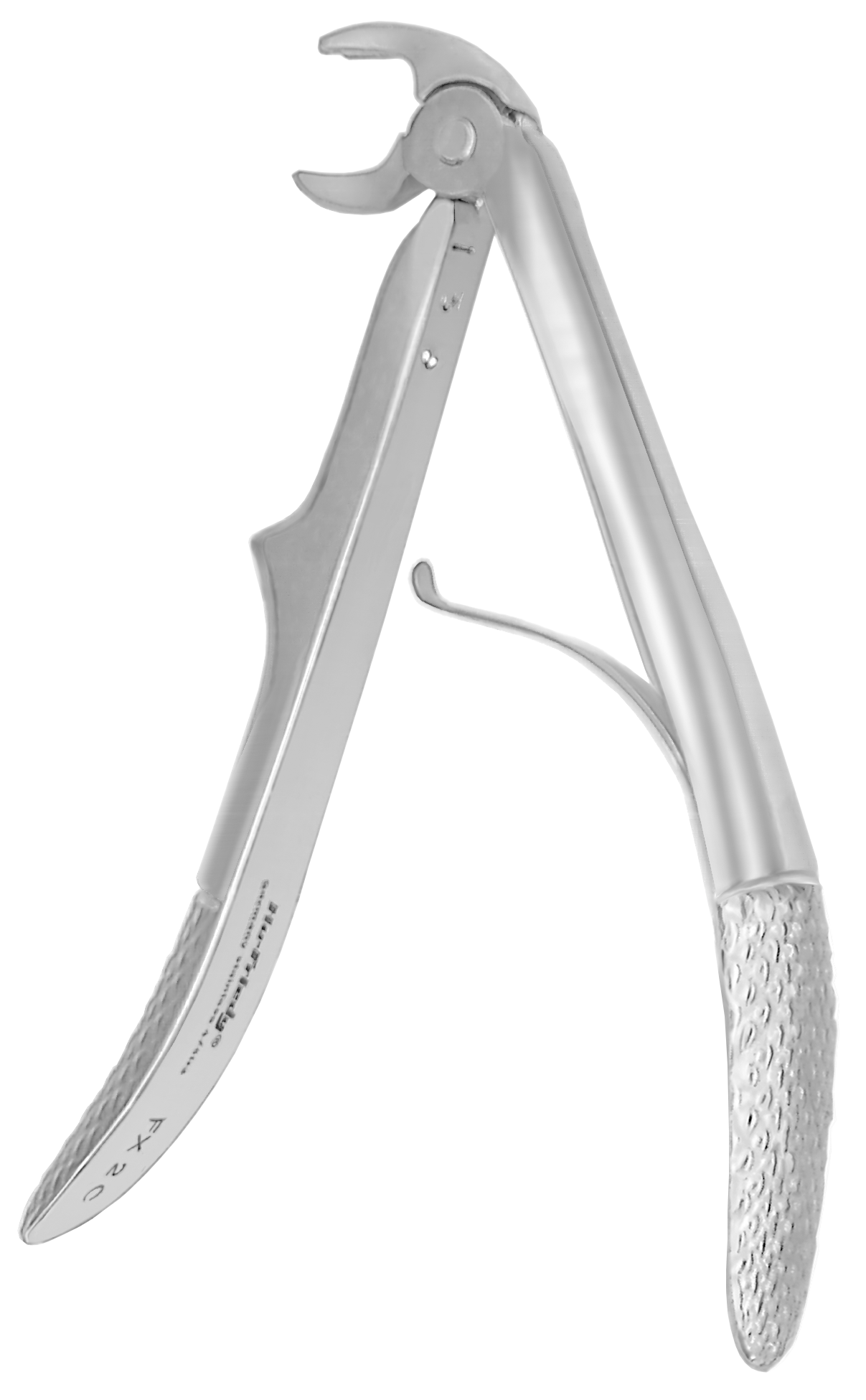 Extracting Forceps Size 2C Molar European Style Pedo Ea thumbnail 3