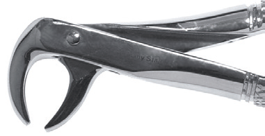 74 Lower Anterior Forceps Economy product image