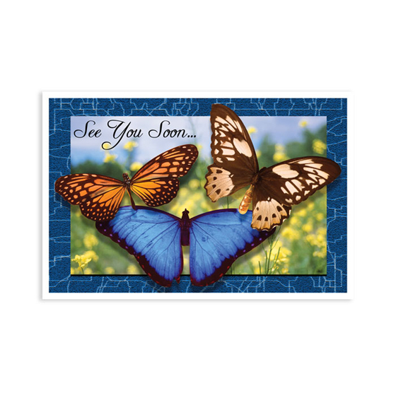 Laser 4-Up Recall Cards 3 Butterflies 8.5 in x 11 in 200/Pk product image